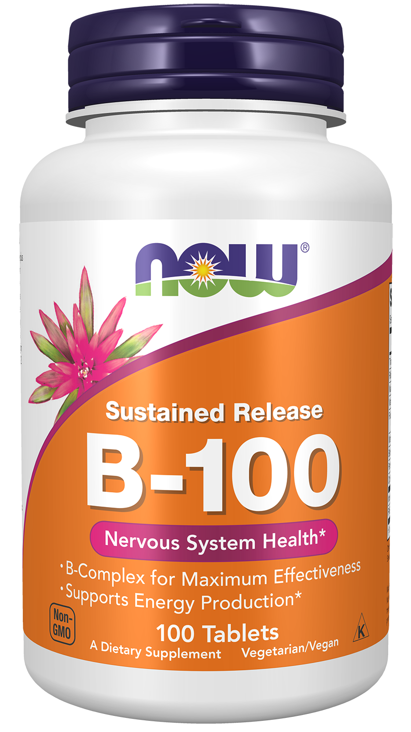 B-100 Sustained Release 100 Tabs