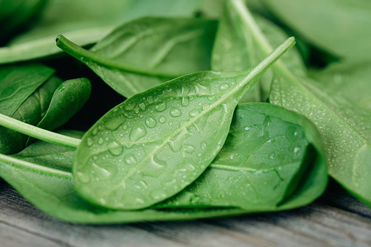 Spinach, Organic, Farm Fresh, Bag