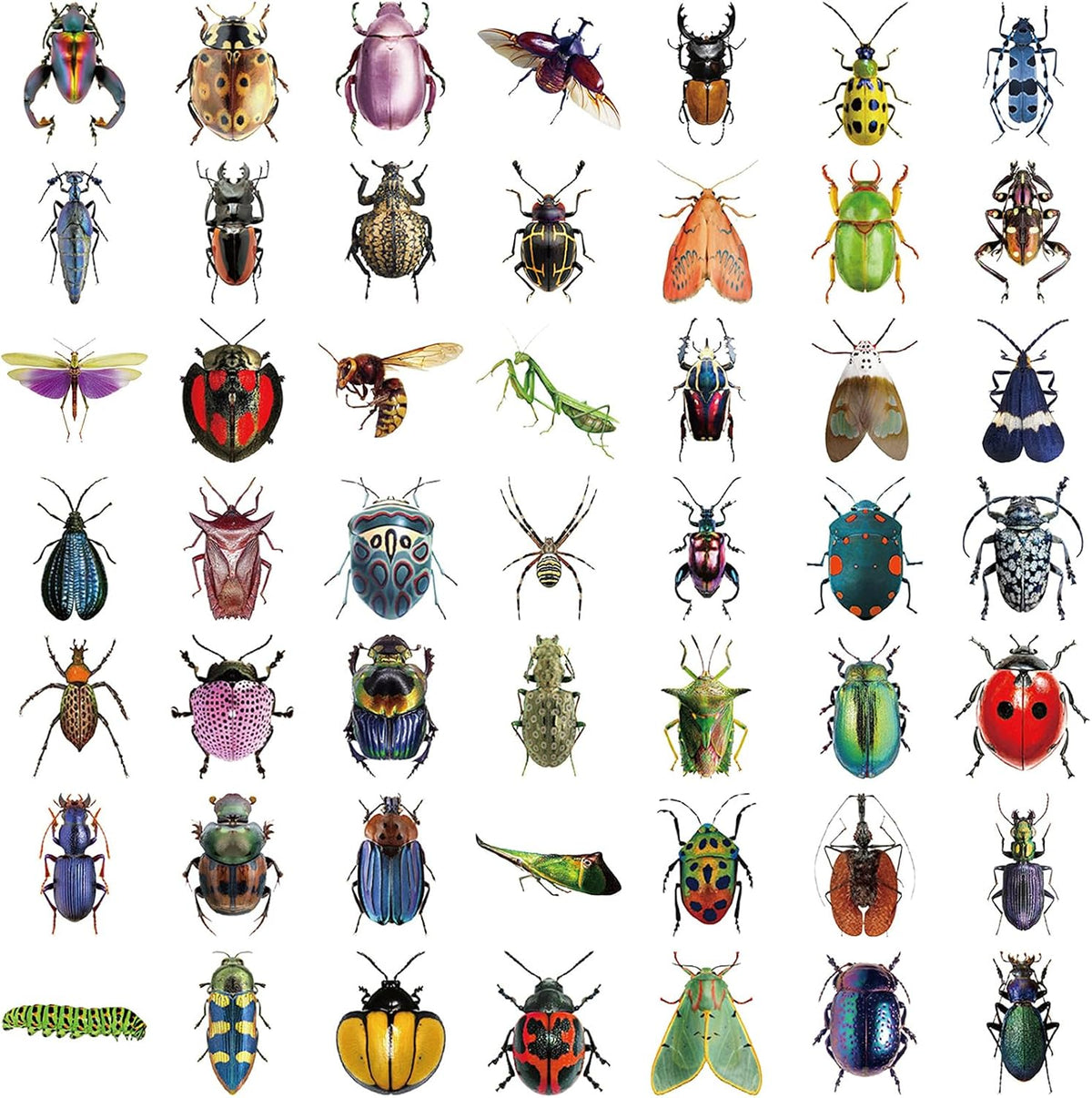 Transparent Vintage Insect Stickers, 50 pcs
