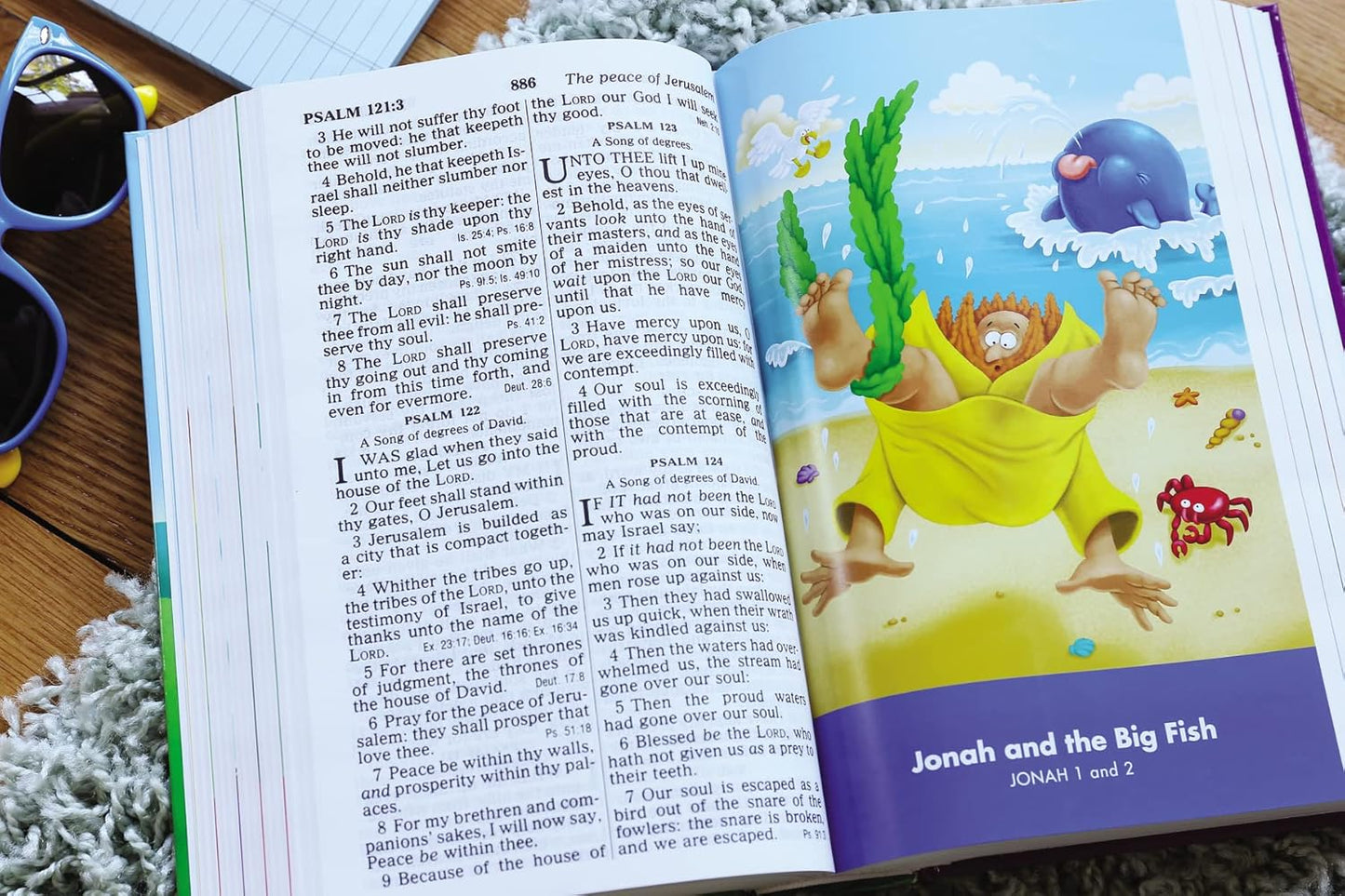 The Beginner's Bible - SALE!