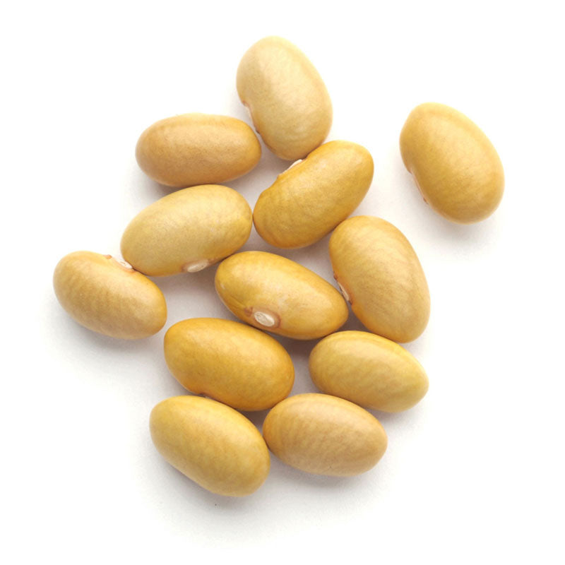 Mayacoba Beans 1 lb - SALE!