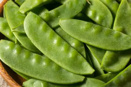 Snow Peas, Organic, Farm Fresh Pint