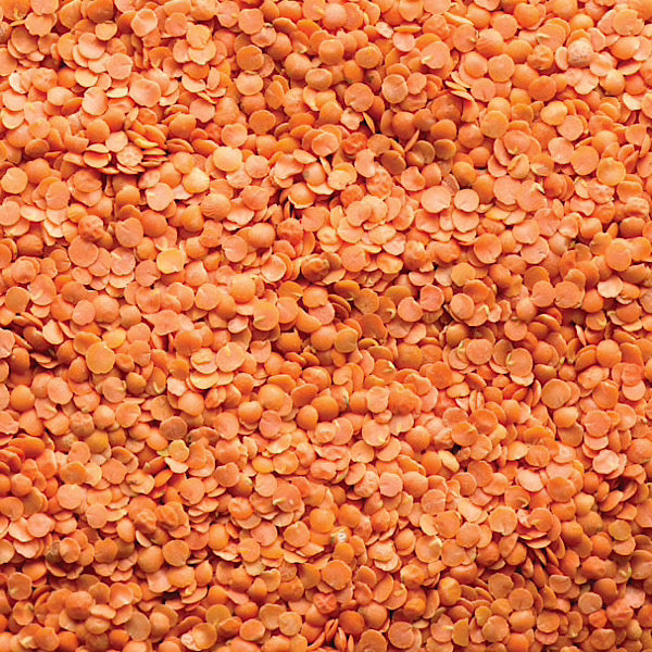 Red Lentils, Split, Organic