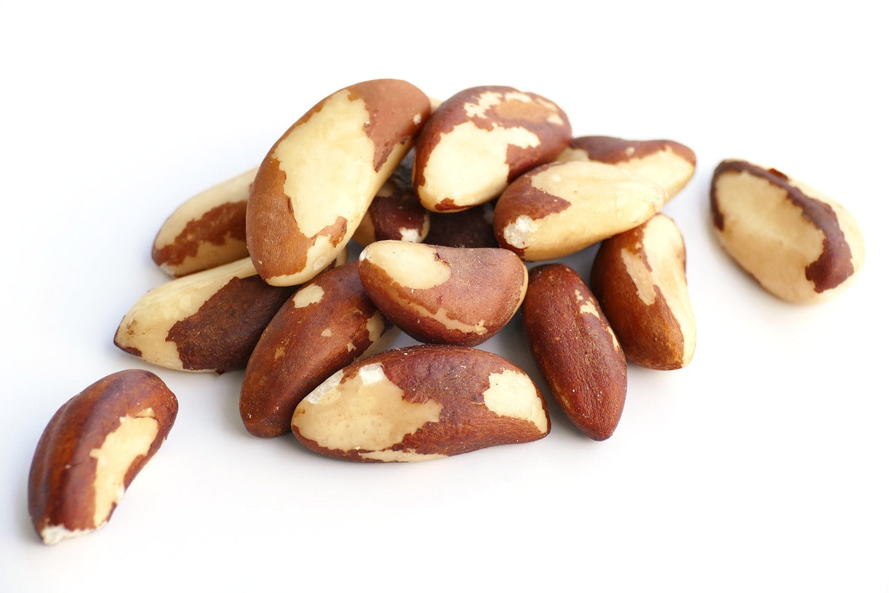 Brazil Nuts, Raw, Organic 1 lb
