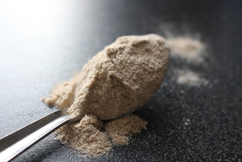 Psyllium Seed Husk Organic Pwd 1 lb