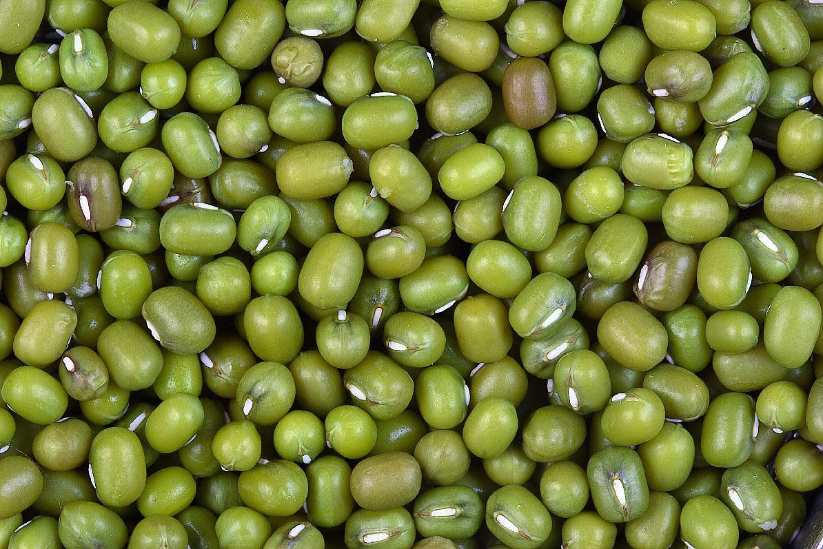 Mung (Moong) Beans Whole 1 lb