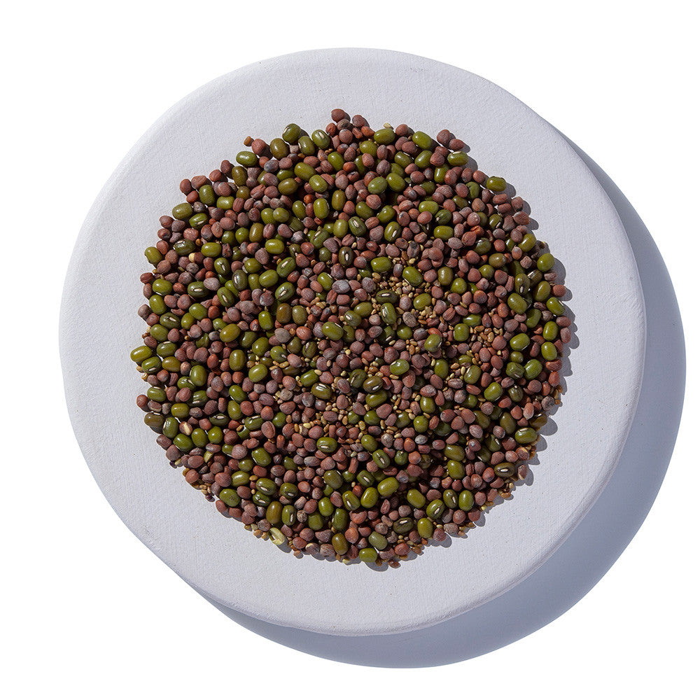 Salad Blend Sprouting Seeds Organic 2 oz