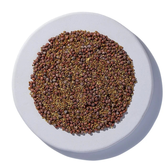 Sandwich Blend Sprouting Seeds Organic 2 oz