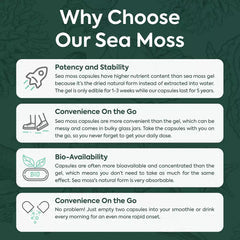OCEAN Wild Sea Moss 60 capsules - CLEARANCE!