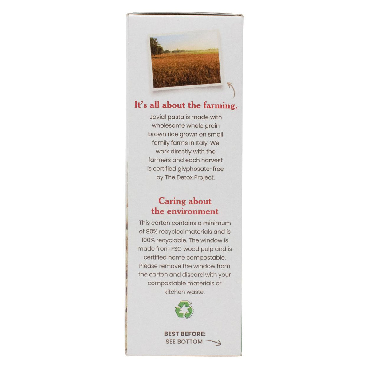 Shells, Brown Rice Pasta, Organic, GF 12 oz
