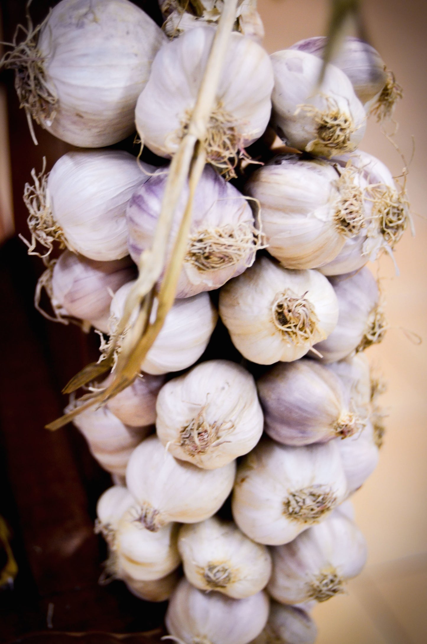 Garlic, Organic Farm Fresh
