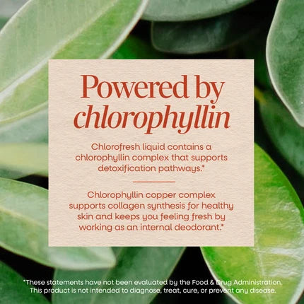 Chlorofresh Liquid Chlorophyll 16 fl oz