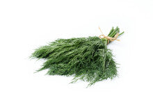 Dill, Organic Farm Fresh, Bundle