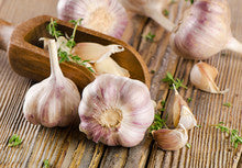 Garlic, Organic Farm Fresh