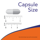 Grape Seed Extract, Max Strength 100 mg, 90 Veg Caps