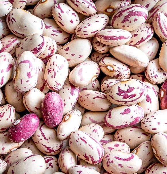 Cranberry Beans, Dry Organic