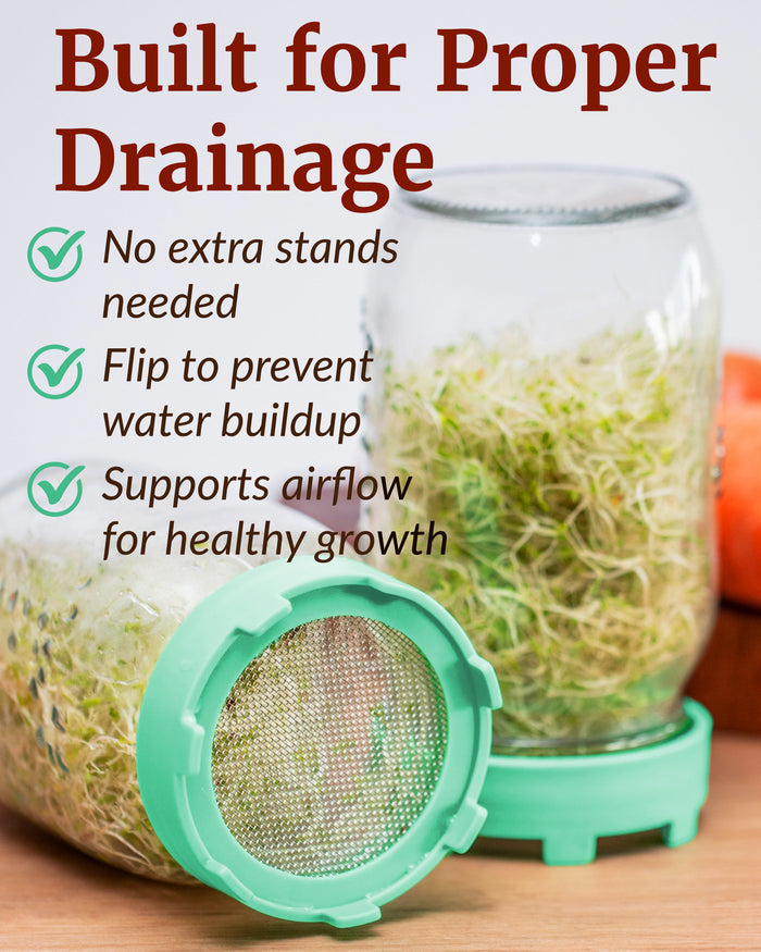 Sprouting Lid, Stainless Steel Screen, Plastic Rim, Widemouthed