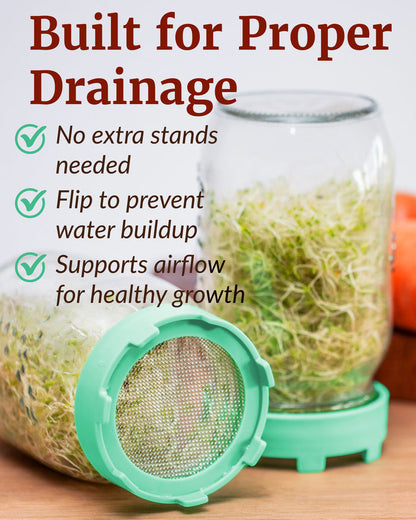 Sprouting Lid, Stainless Steel Screen, Plastic Rim, Widemouthed