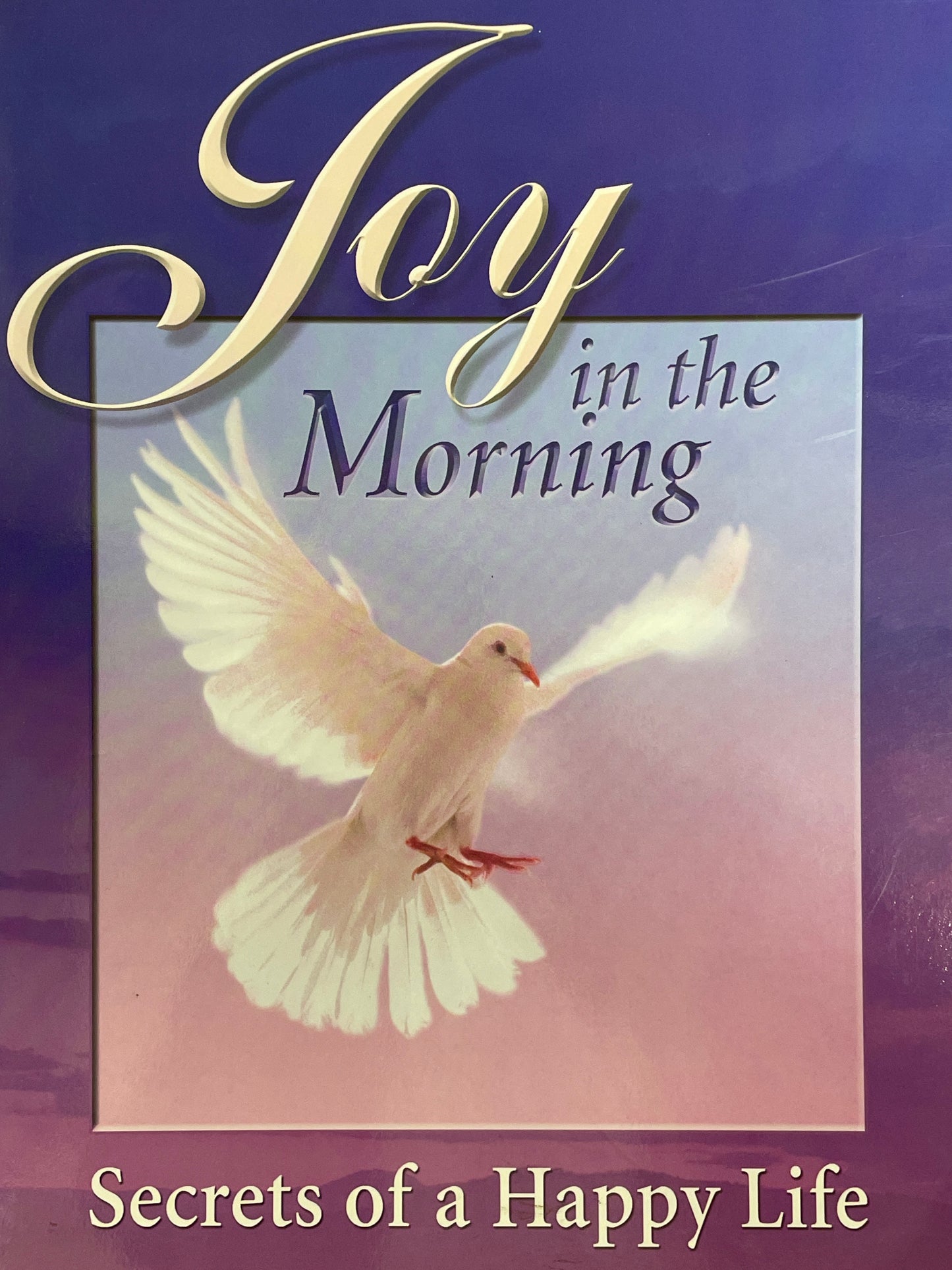 Joy in the Morning- SALE!