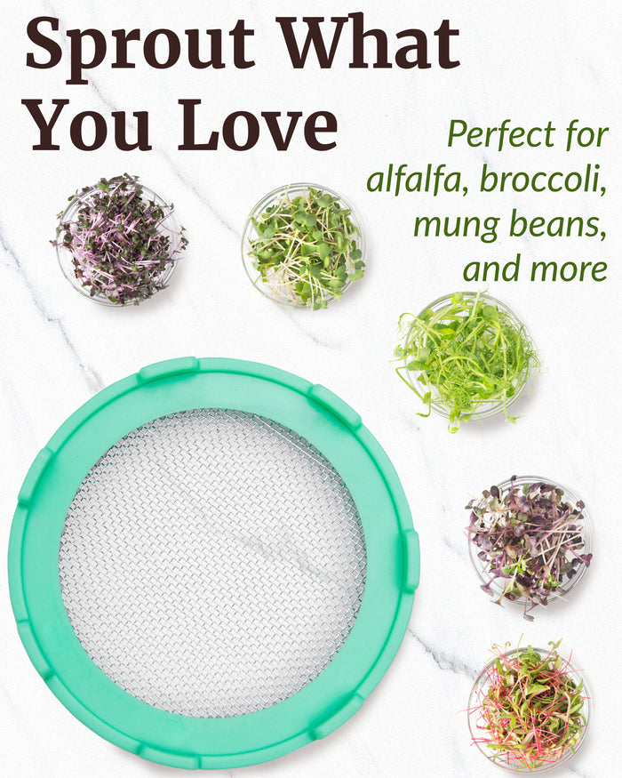 Sprouting Lid, Stainless Steel Screen, Plastic Rim, Widemouthed