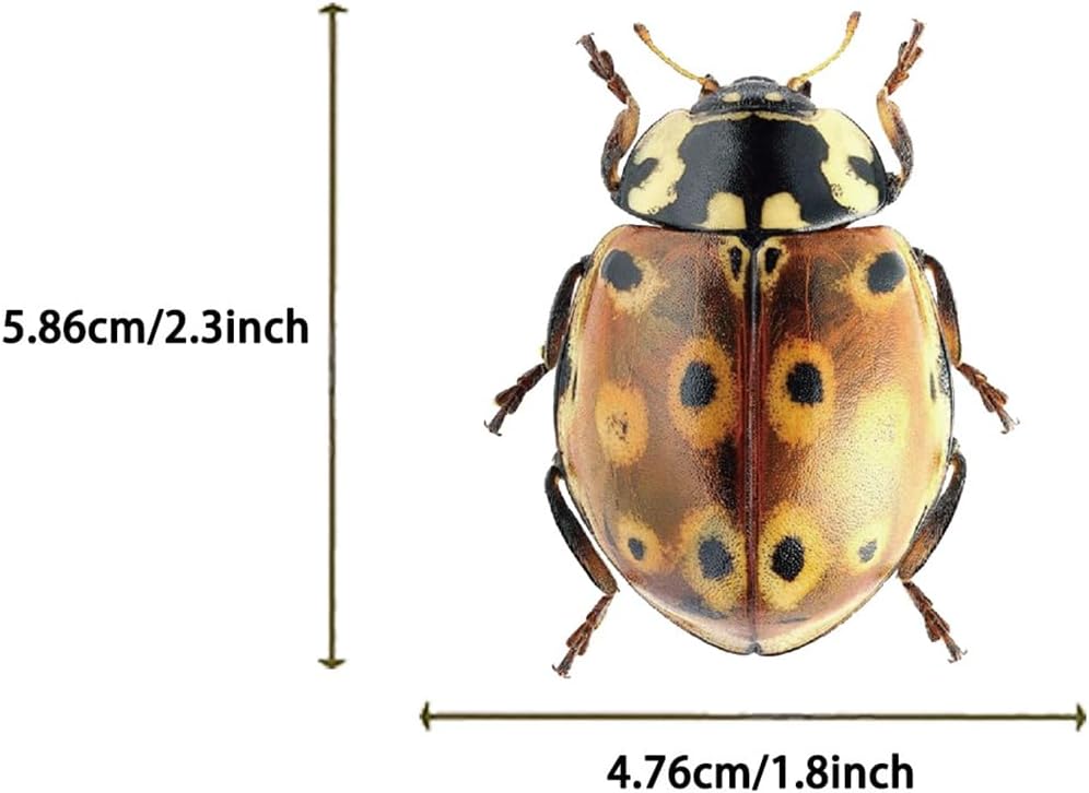 Transparent Vintage Insect Stickers, 50 pcs