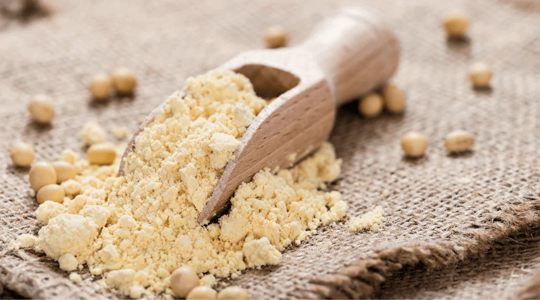 Organic Soy Flour 1.5lb