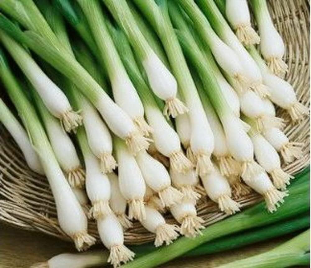 Onions, Bunching, Farm Fresh, Bundle