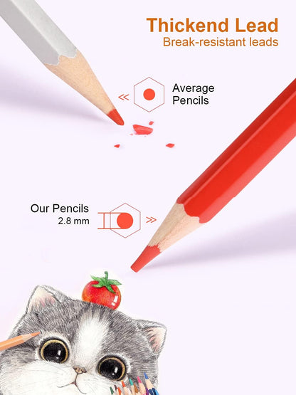 Colored Pencils, 36 colors