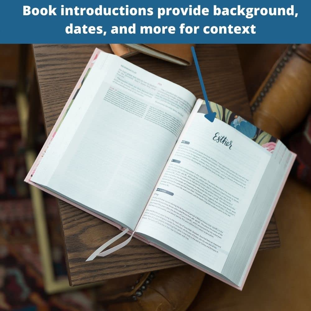 NIV The Women's Study Bible