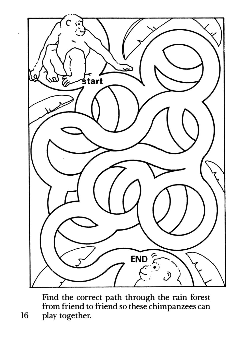 Nature Mazes, Paperback