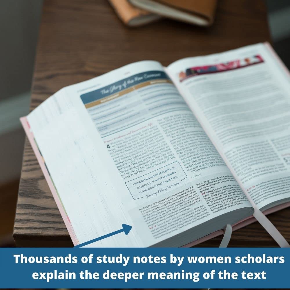 NIV The Women's Study Bible