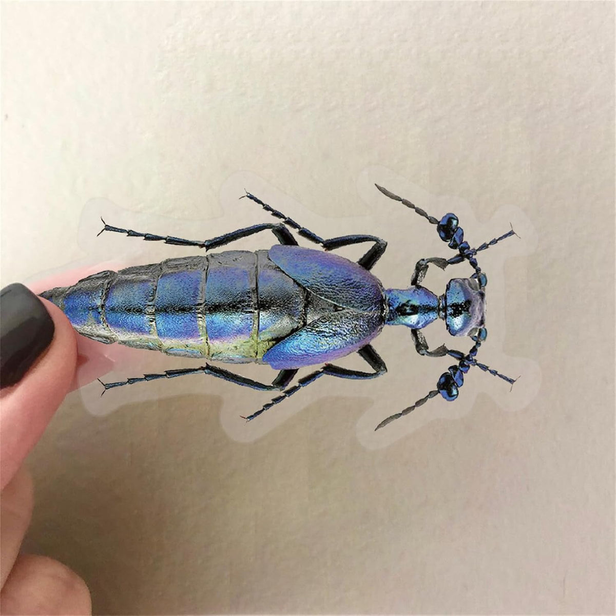 Transparent Vintage Insect Stickers, 50 pcs