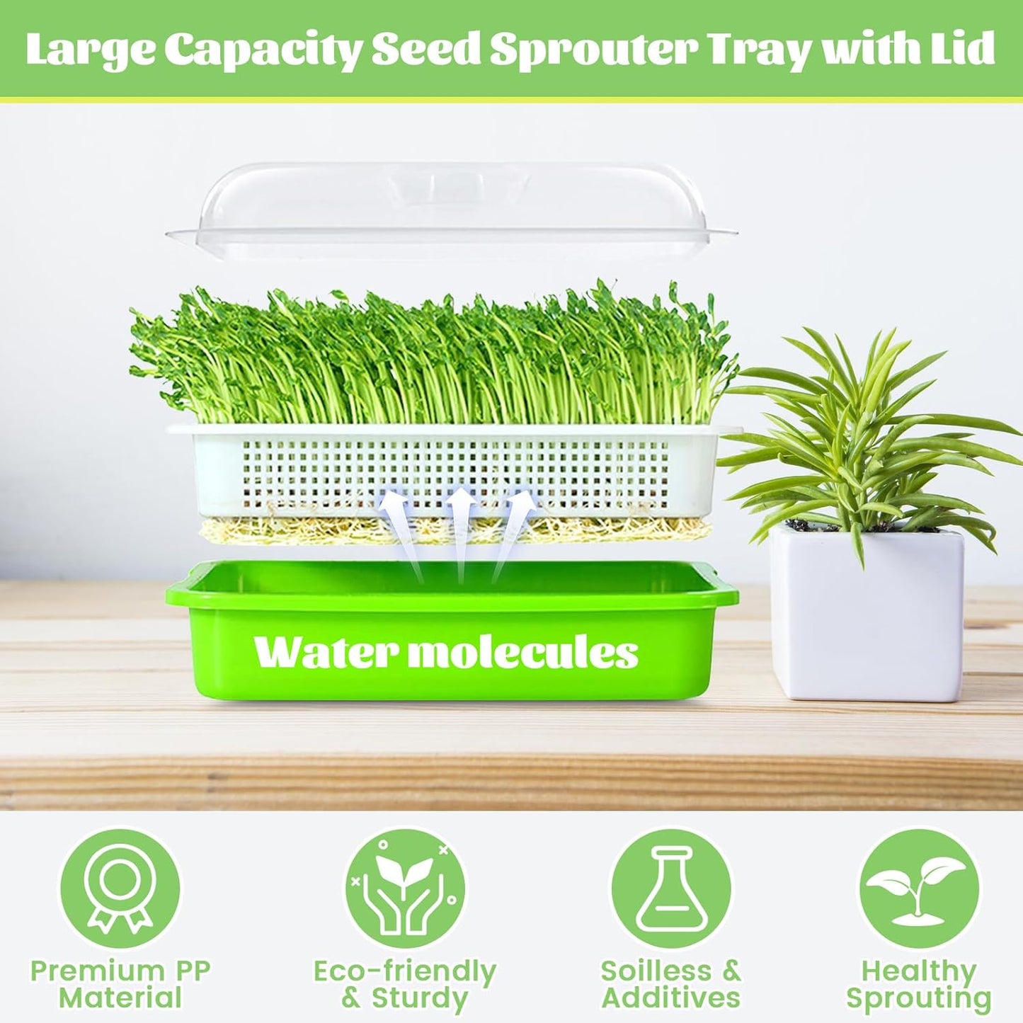 Microgreen Growing Kit