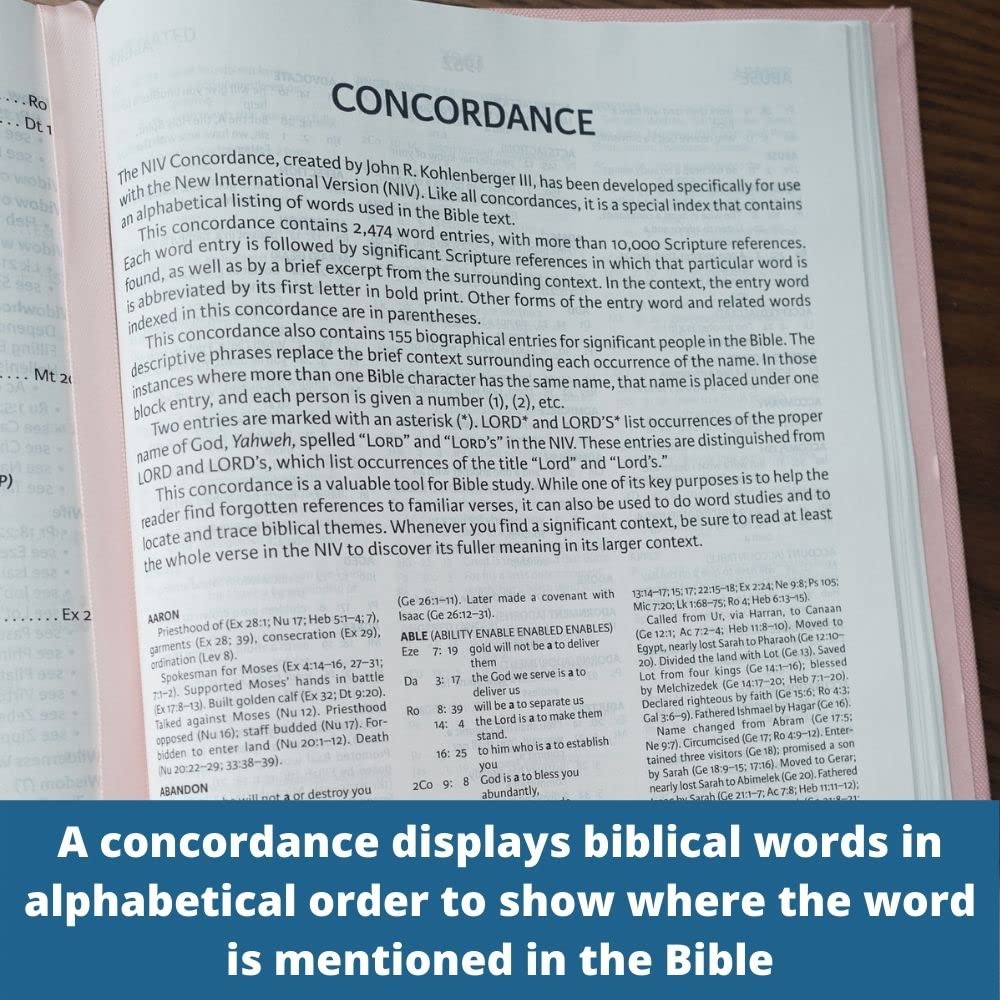 NIV The Women's Study Bible