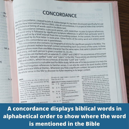 NIV The Women's Study Bible