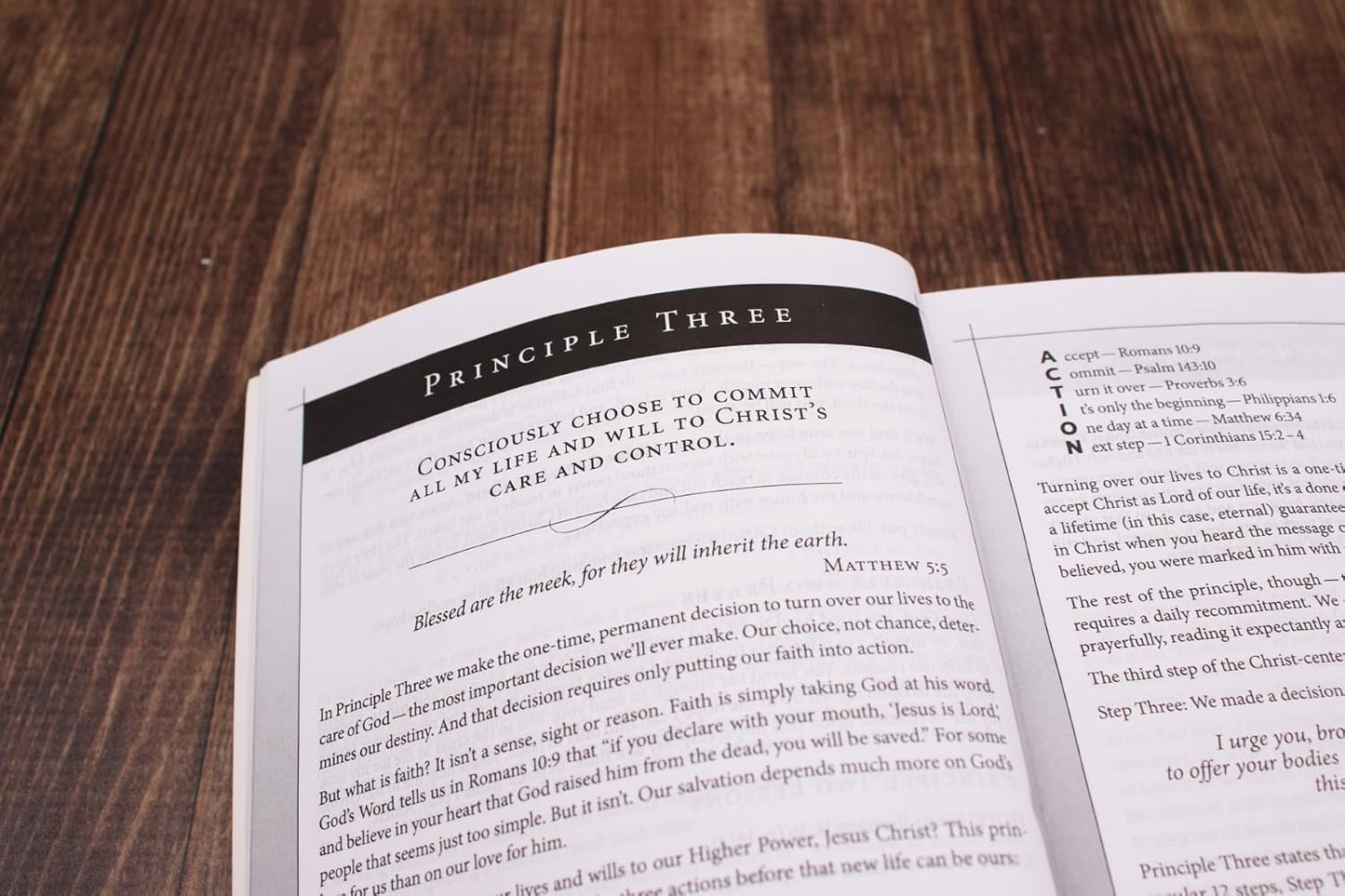 Celebrate Recovery Study Bible - SALE!