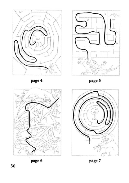 Nature Mazes, Paperback