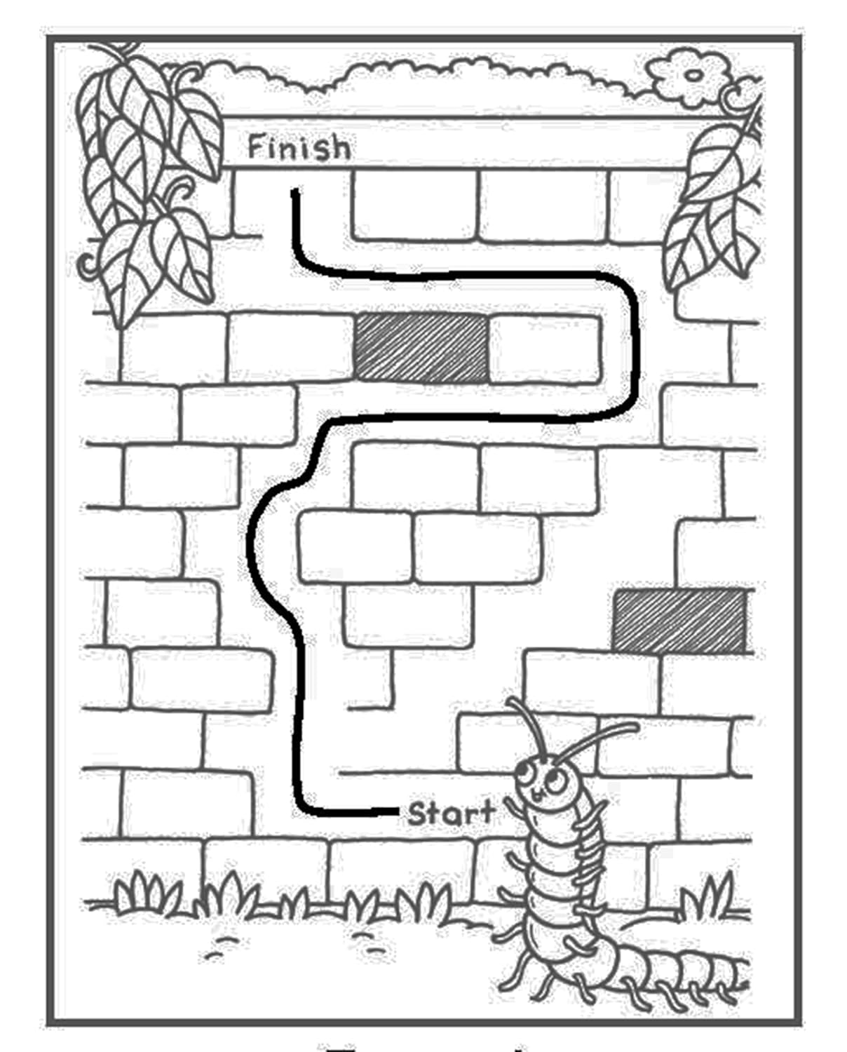 Bug Mazes