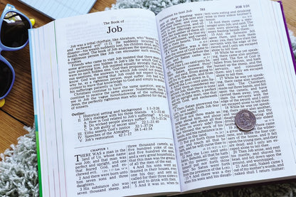 The Beginner's Bible - SALE!