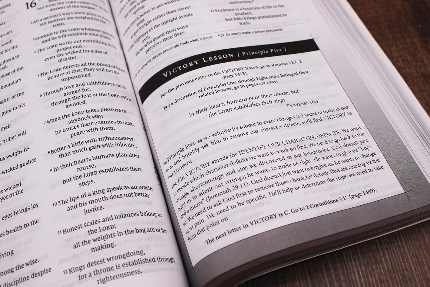 Celebrate Recovery Study Bible - SALE!