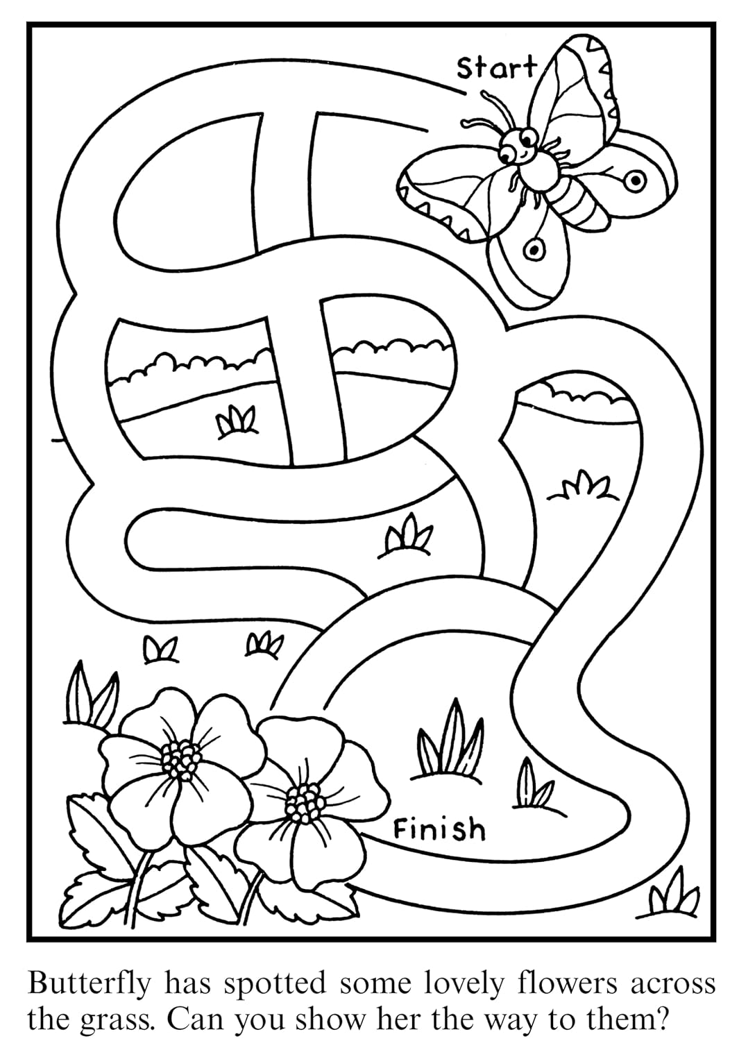Bug Mazes