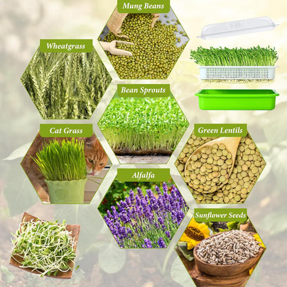 Microgreen Growing Kit