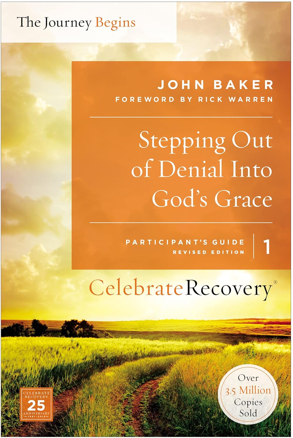 Stepping Out of Denial Into God's Grace Participant's Guide 1 - SALE!