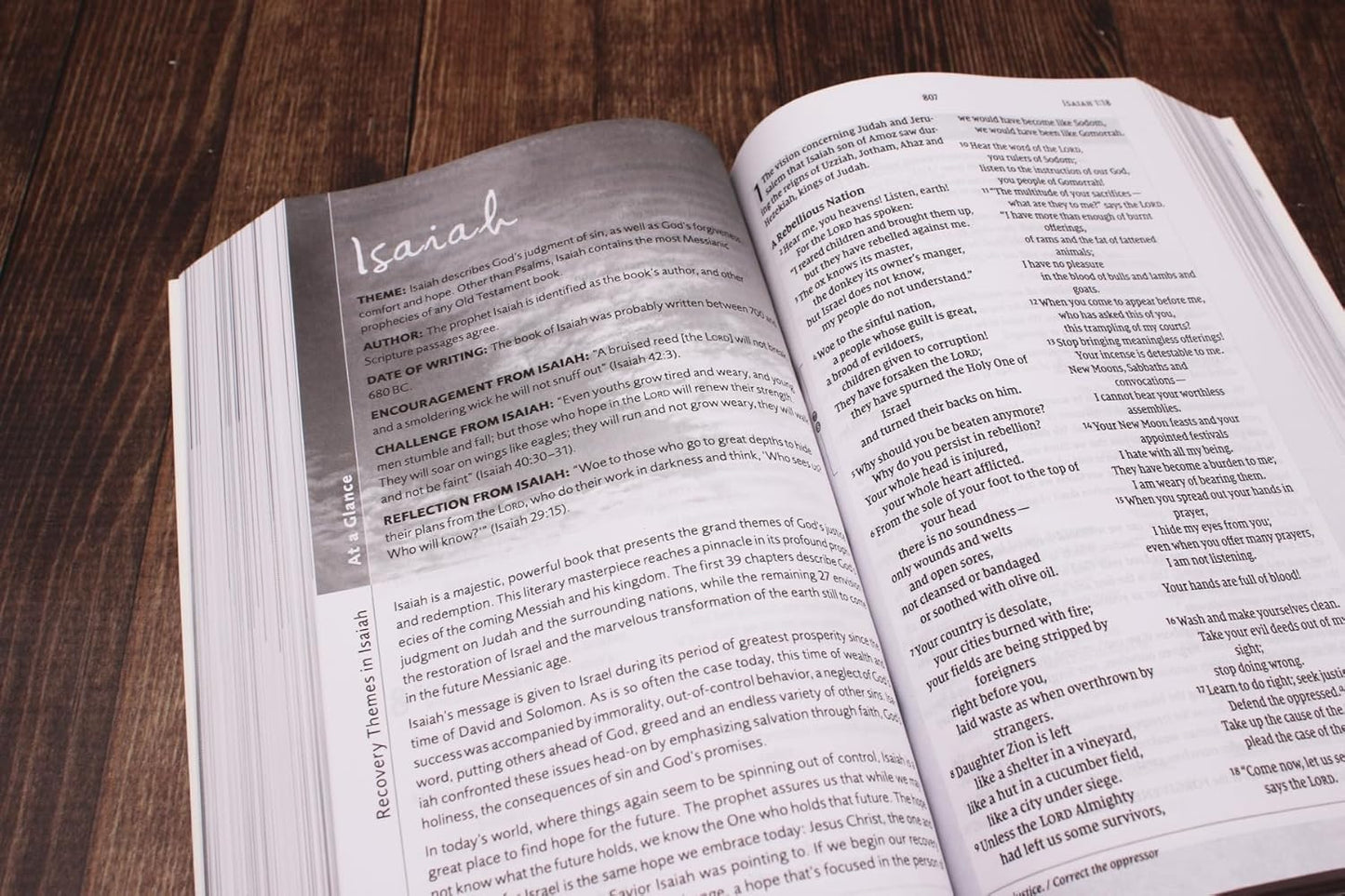 Celebrate Recovery Study Bible - SALE!