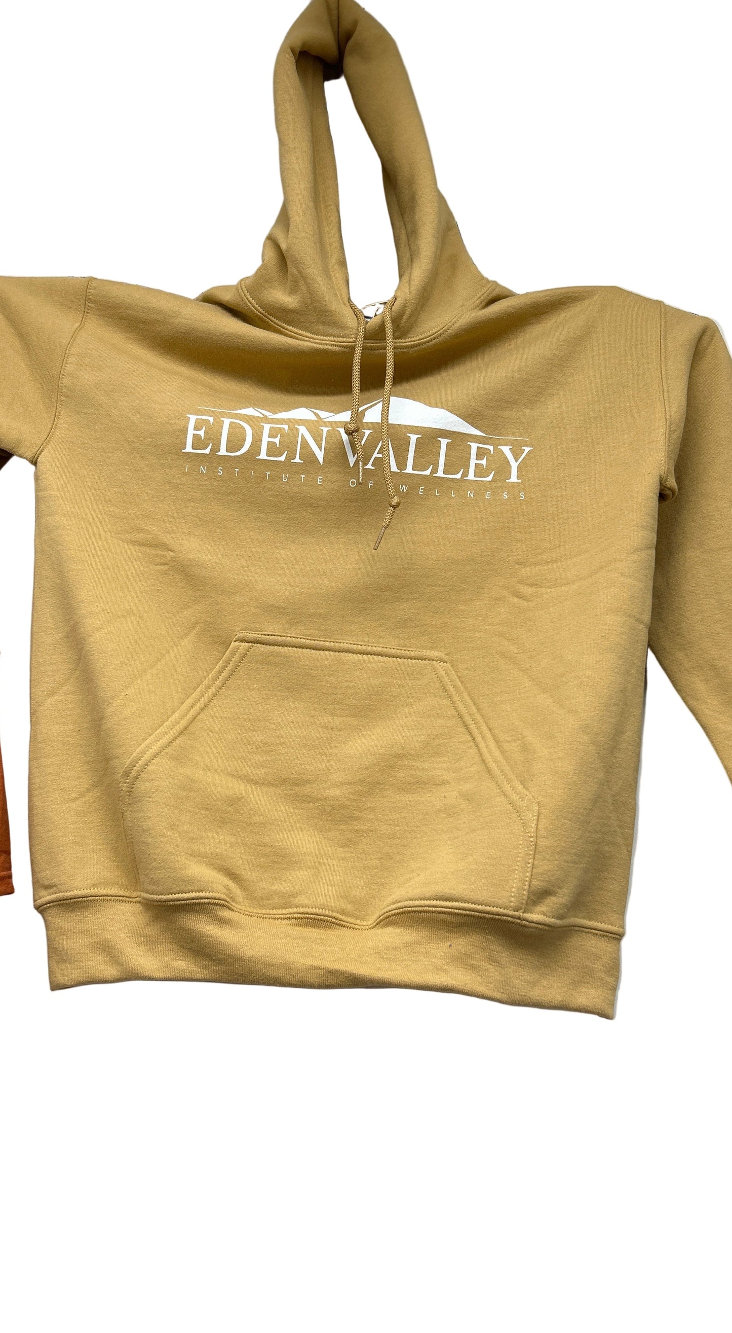 Sweatshirt, Hooded, Adult Sizes (Closeout)