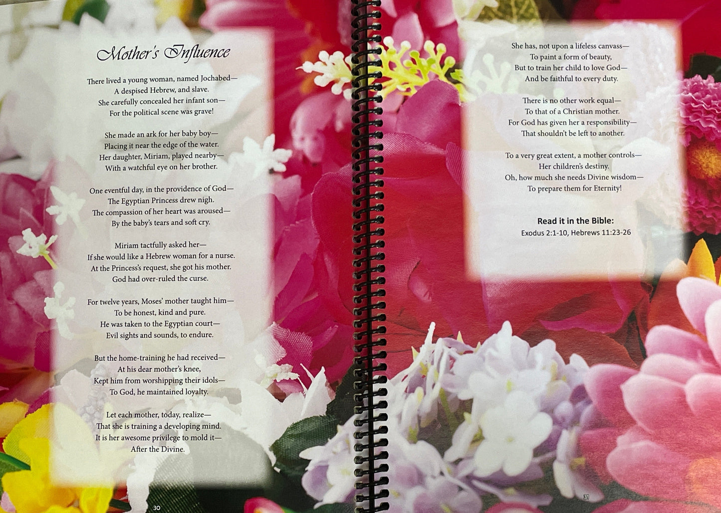 Life-Changing Poetry for Conflict of the Ages Series - SALE!
