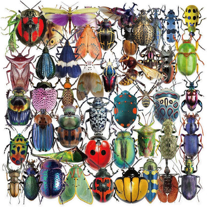 Transparent Vintage Insect Stickers, 50 pcs