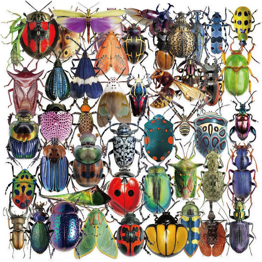 Transparent Vintage Insect Stickers, 50 pcs