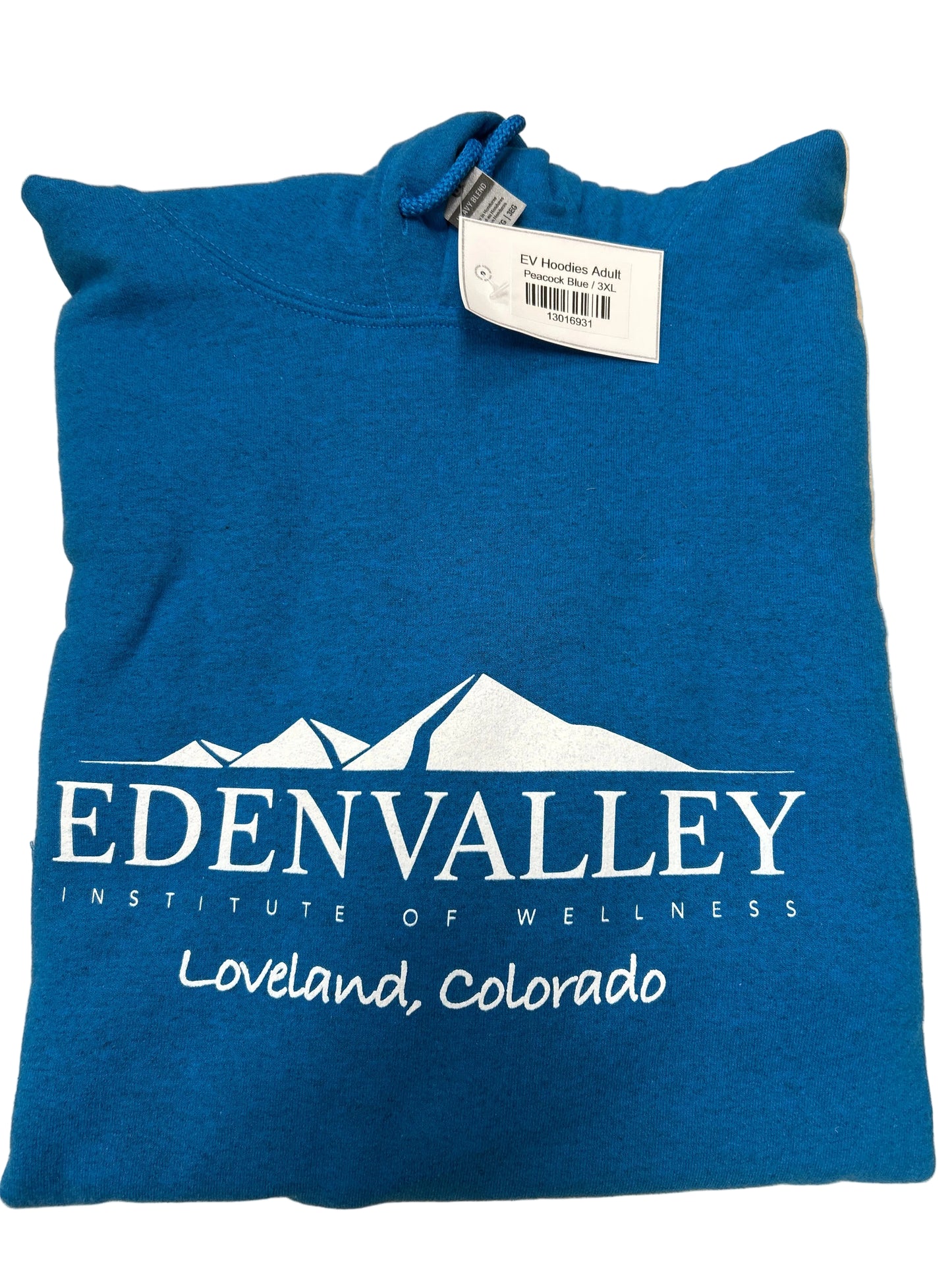 Sweatshirt, Hooded, Adult Sizes (Closeout)