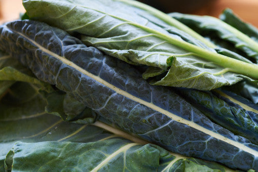 Kale, Lacinato, Organic, Farm Fresh Bunch